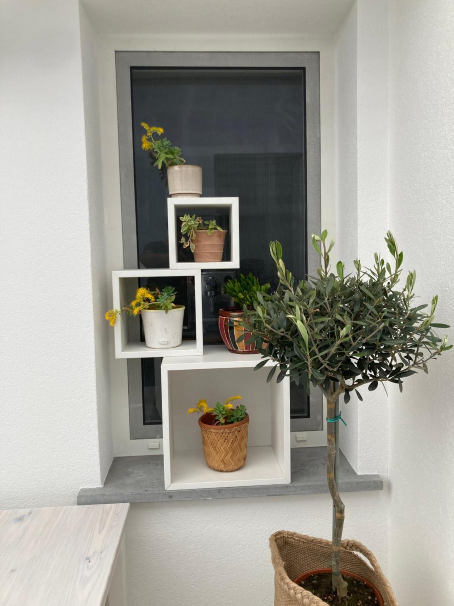 Casa Di Mirea Bed & Breakfast Grado Exterior photo